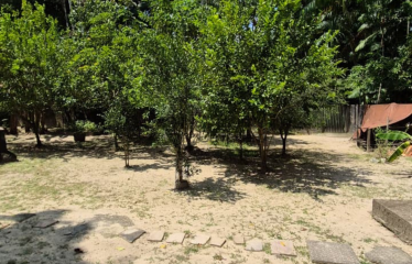 Chácara completa com piscina, campo e lazer total – BR-316, próximo ao Clube Neópolis